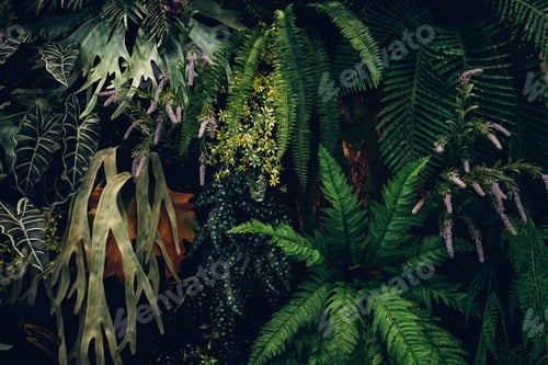 Preview: Close up group of background tropical green leaves texture and abstract background.