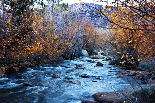 Preview: Autumn creek