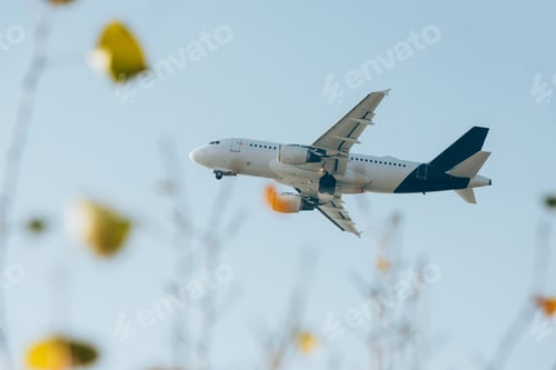 Preview: Selective focus of airplane in blue sky above field view flowers