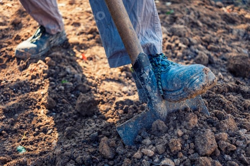 Preview: Man digging over loosening soil with a spade