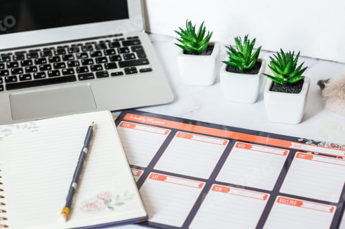 Preview: Working desk with weekly planner, notebook, succulent plants, laptop