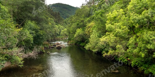 Preview: Fragas do Eume Natural Park, Pontedeume, Spain