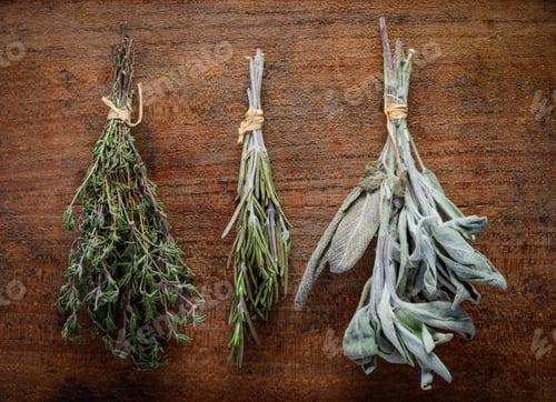 Preview: Thyme, Rosemary and Sage Culinary Herbs