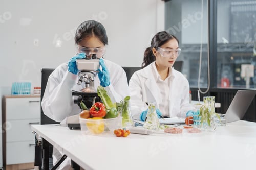 Preview: Two female researchers in the lab work desk on plant genetic modification for food,meat,vegetables