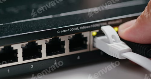 Preview: Plug in and out on internet switch