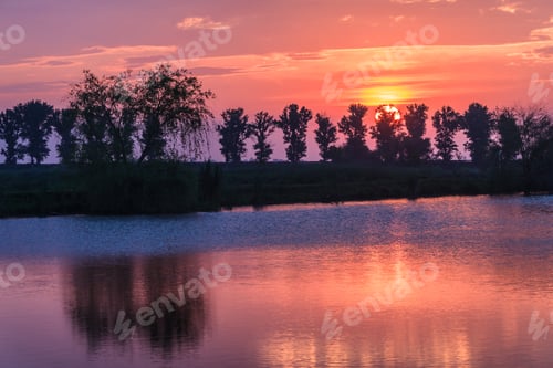 Preview: sunrise among trees