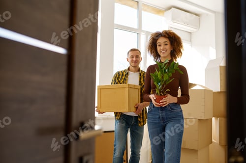 Preview: Couple on moving day carrying cardboard boxes