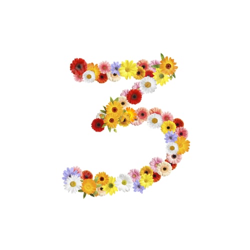 Preview: Number 3 made of beautiful flowers on white background