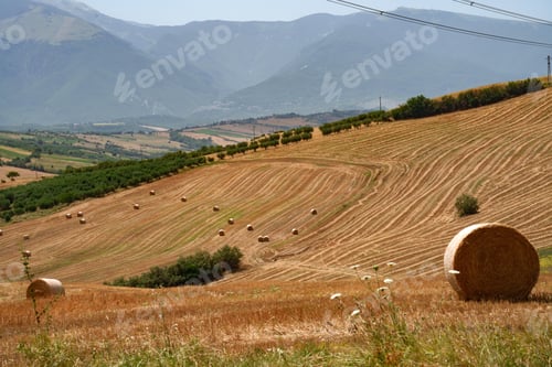 Preview: Country landscape at summer near Lanciano, Abruzzo, Italy