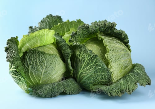 Preview: Fresh Savoy cabbages on light blue background, closeup