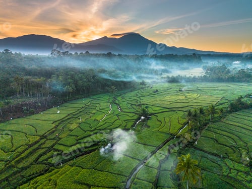 Preview: Beautiful morning view indonesia panorama landscape paddy fields