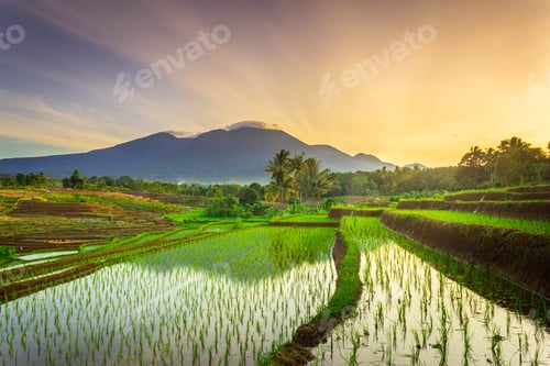 Preview: beautiful morning view from Indonesia of mountains and tropical forest