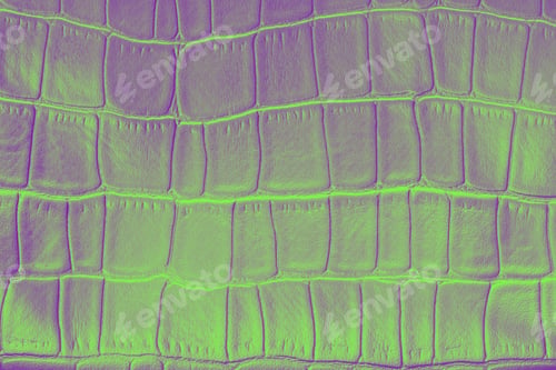 Preview: Crocodile skin surface texture made from artificial leather. Snake skin pattern imitation made of