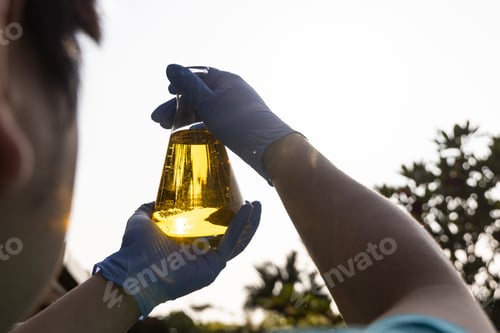 Preview: Ethanol biofuel derived from corn maze with beaker test tubes in laboratory