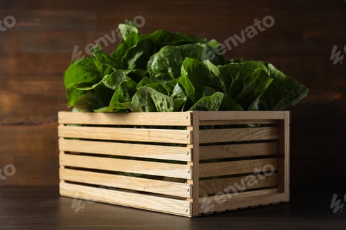 Preview: Concept of fresh and green food - lettuce
