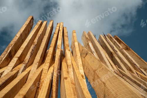 Preview: The piles of wood are placed to dry in Iringa region