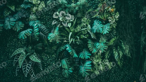 Preview: A background with an abstract design and a close-up texture of green leaves.