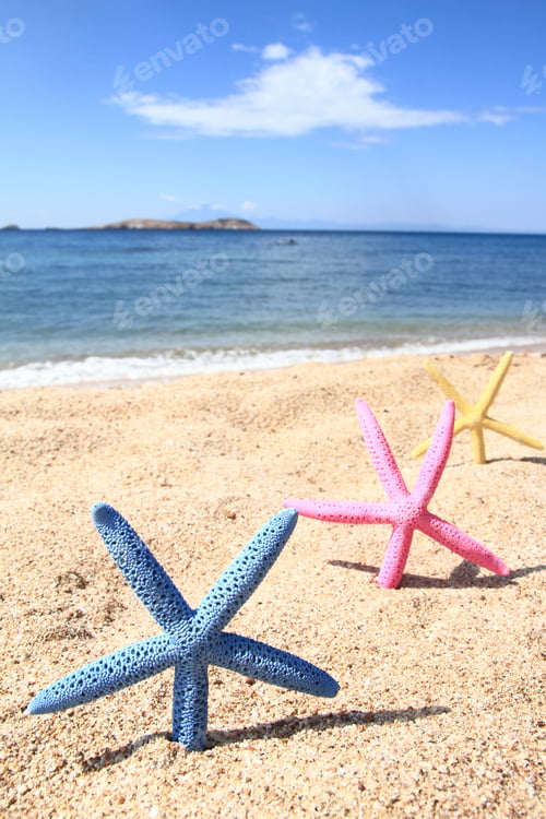 Preview: Colorful starfish on the beach at summer