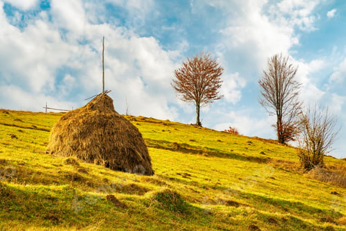 Preview: Sunrise in misty morning valley with haystack on grassland hill