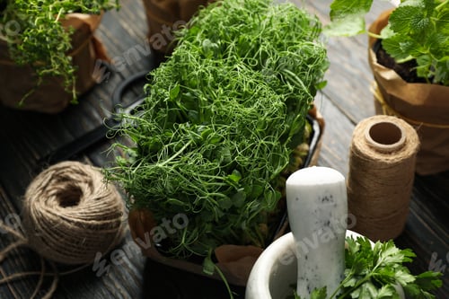 Preview: Different herbs, jute twine, scissors and mortar on wooden background