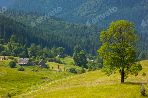 Preview: Green tree standing in blue mountains and shepherds houses on green pasture