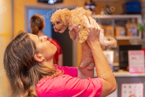Preview: Veterinary clinic, portrait of a female veterinarian with a small dog giving each other a kiss