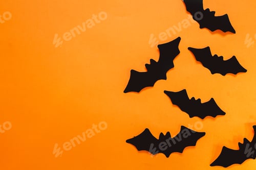 Preview: Happy halloween holiday. Halloween decorations, black and white pumpkins, bats, ghosts on a black