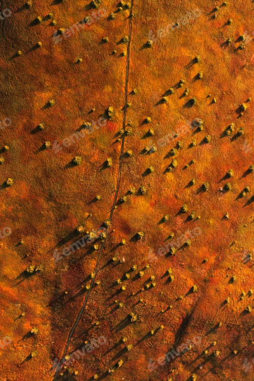 Preview: Aerial view on the Hill in the forest