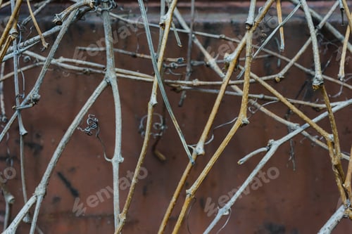 Preview: Beautiful Nature Background