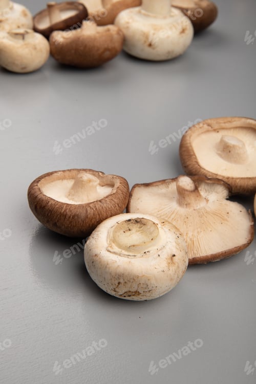 Preview: side view of fresh mushrooms isolated on light blue background