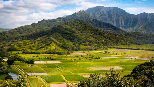 Preview: Panoramic landscape view of Hanalei valley and green taro fields