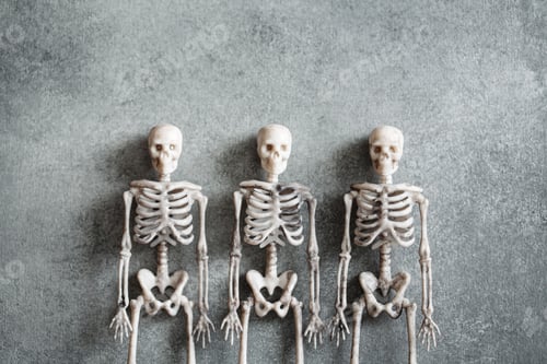 Preview: Little toy skeletons over grey background, minimalistic Halloween concept, top view flat lay