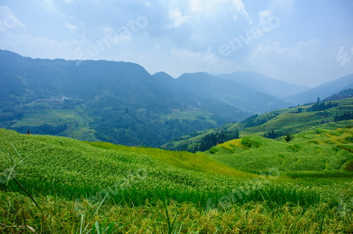 Preview: Beautiful terrace rice field in China