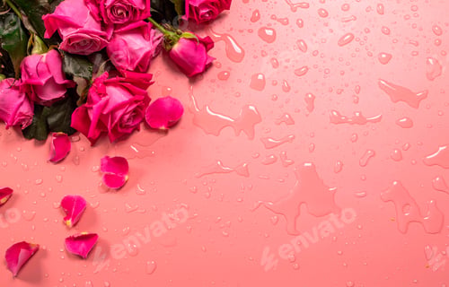 Preview: Beautiful roses.