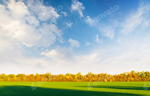 Preview: An autumn landscape featuring a lush green field, golden-hued trees and a majestic sky
