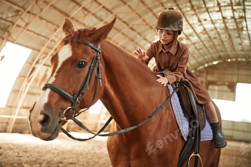 Preview: Riding the animal. Cute little girl is with horse indoors
