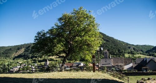Preview: Scenic shot of houses on the slope of a hill nd a green tree in a farmland on a sunny day