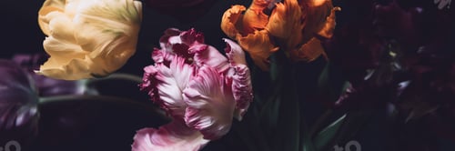 Preview: Bunch of Parrot Style Tulips