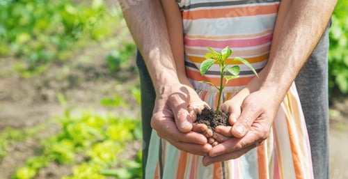 Preview: A child with his father plant a nursery garden. Selective focus.