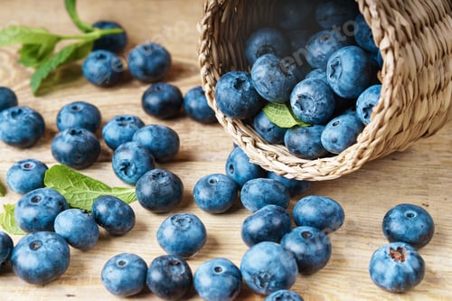 Preview: Freshly picked juicy and fresh blueberries with green mint leaves