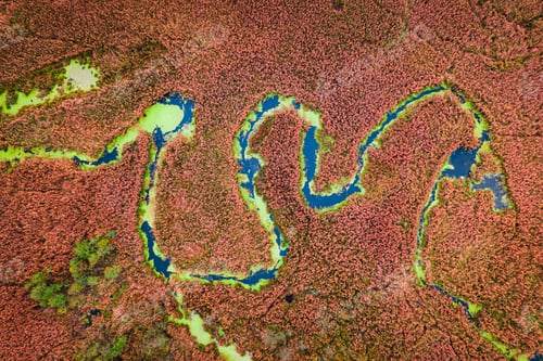 Preview: Top view of brown swamps in autumn, drone view