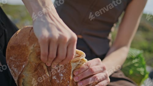 Preview: Hands breaking fresh bread on outdoor picnic closeup. Hungry girl baguette