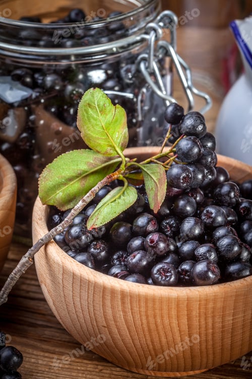 Preview: Black chokeberry.
