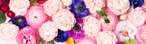 Preview: Flowers flat lay composition