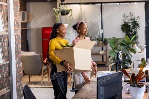 Preview: African American women carrying box with plant, smiling while moving into new office