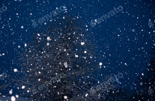 Preview: Snow during Early morning good for calendar or background