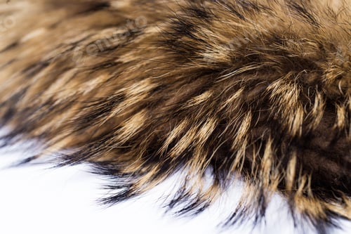 Preview: Background closeup of fluffy fox fur texture