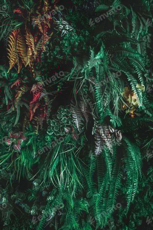 Preview: Herb wall, plant wall, natural green wallpaper and background.