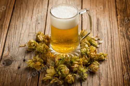 Preview: Home made beer with hop cone over wood background