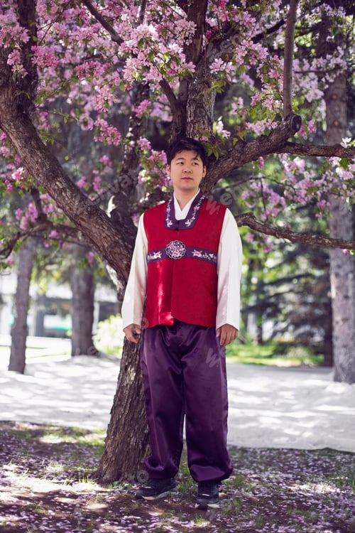 Preview: portrait young man a Korean groom in national costumes stand by cherry blossom tree in spring.